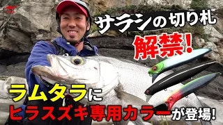 【​サラシの切り札、解禁！】　ラムタラにヒラスズキ専用カラーが登場！！