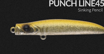 PUNCHLINE45