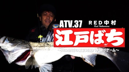 ATV.37【江戸ばち】RED中村 〜RED師匠の東京湾奥バチ抜けゲーム