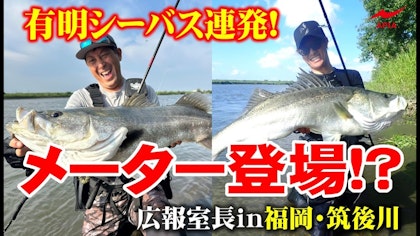【アピア広報室”長”Vol.10 福岡・筑後川シーバス編】メーター登場⁈100m先のランカーを狙い撃て！【イベントついでにランカーチャレンジ！】