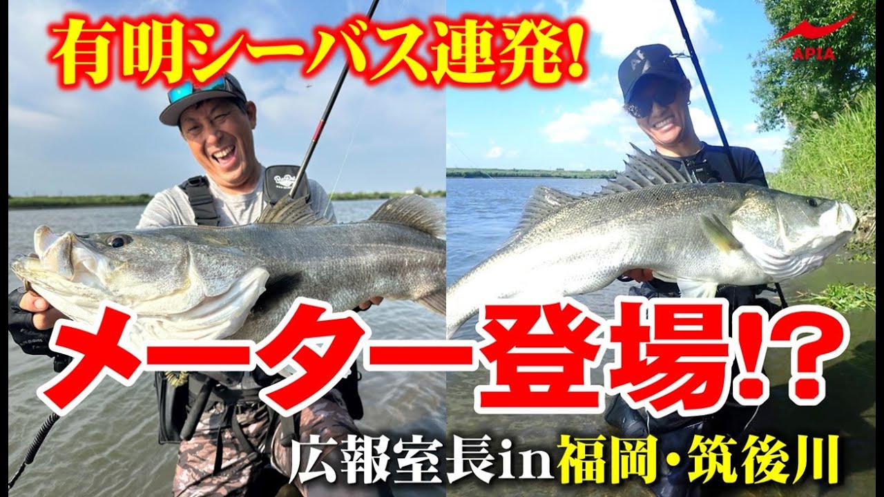 Foojin'RS RE-BIRTH to EVOLVE | APIA