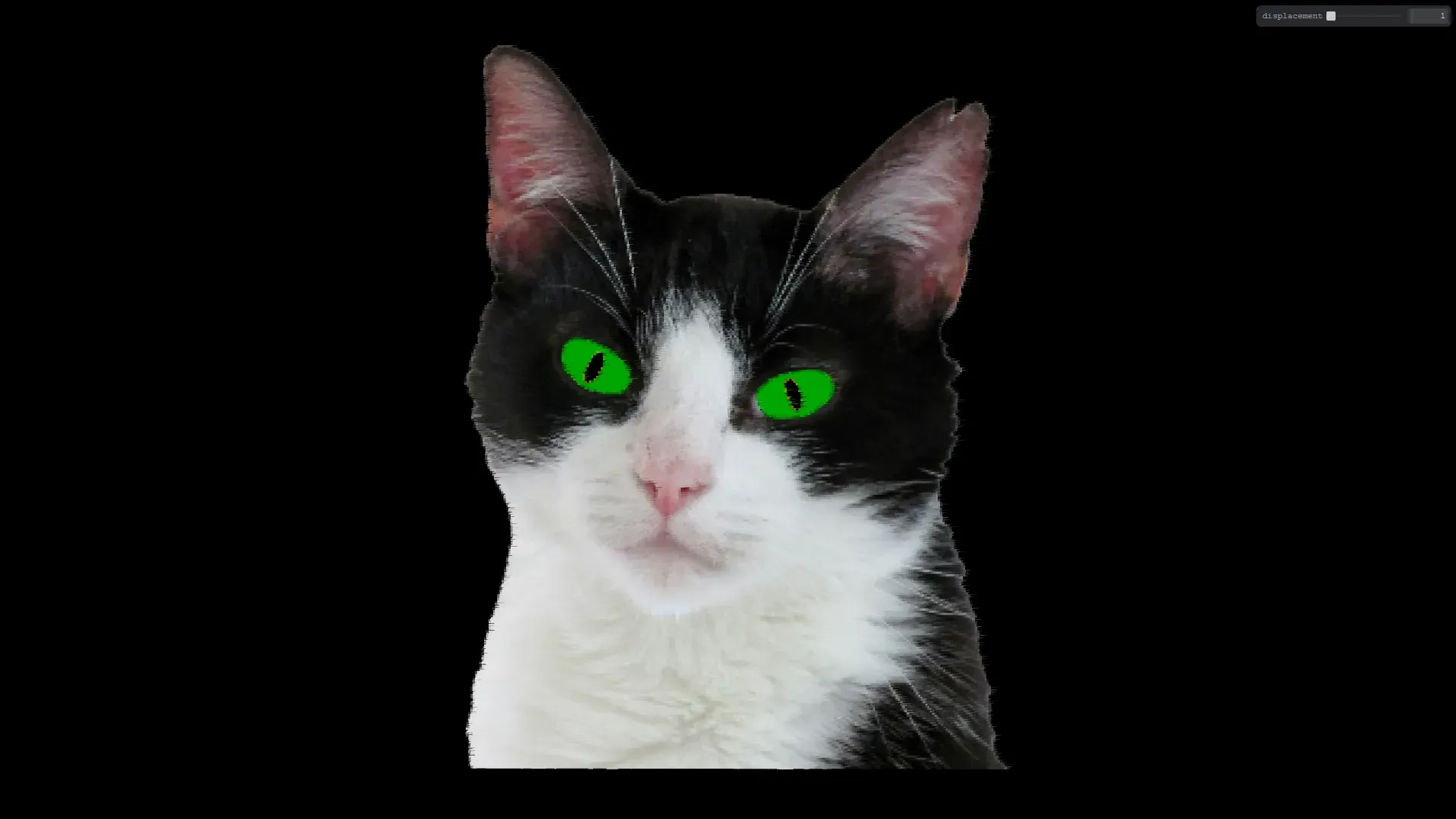 psychedelic cat screenshot1