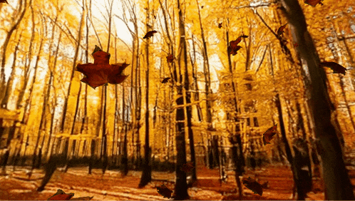 golden fall screenshot1