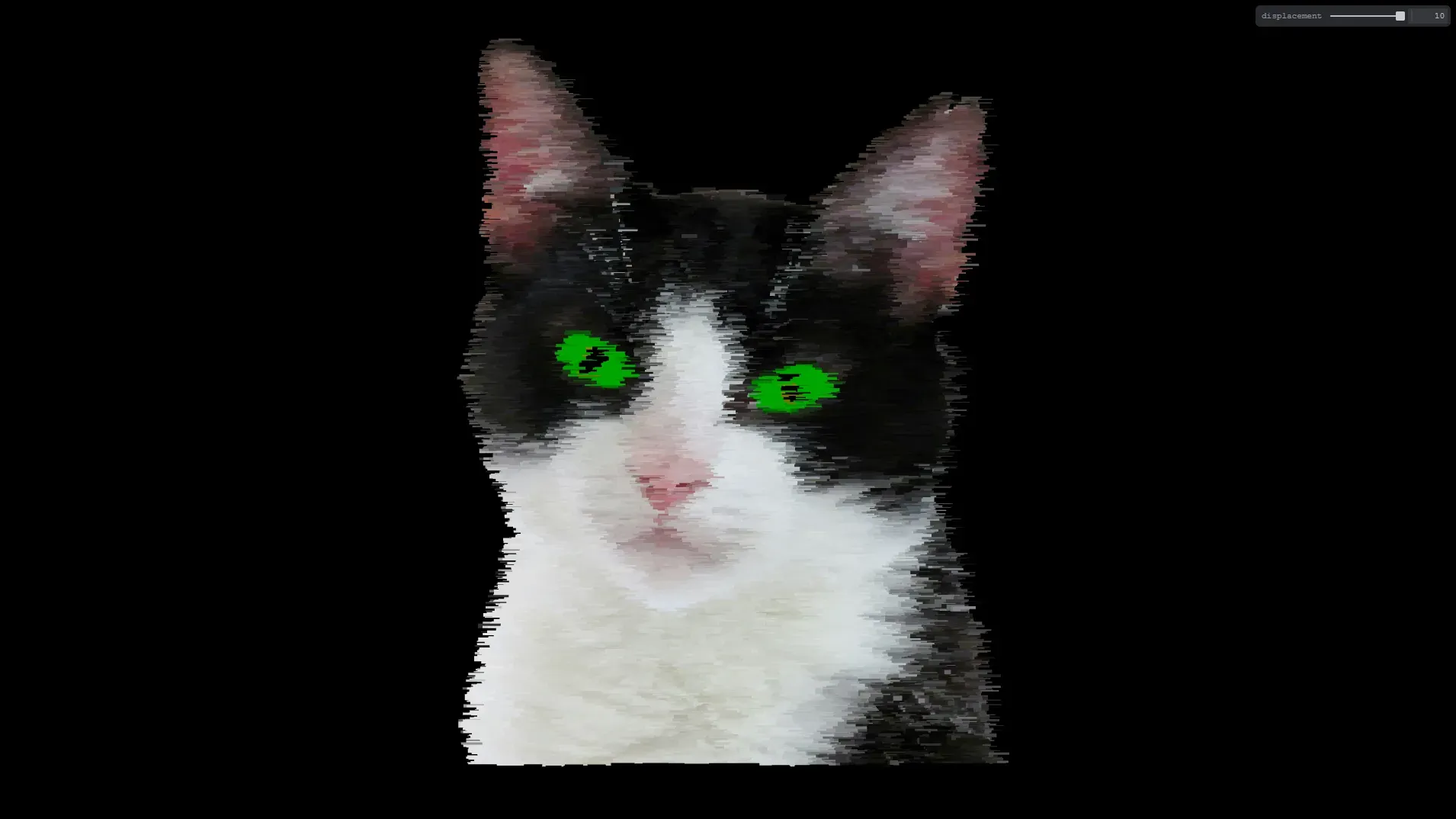 psychedelic cat screenshot3