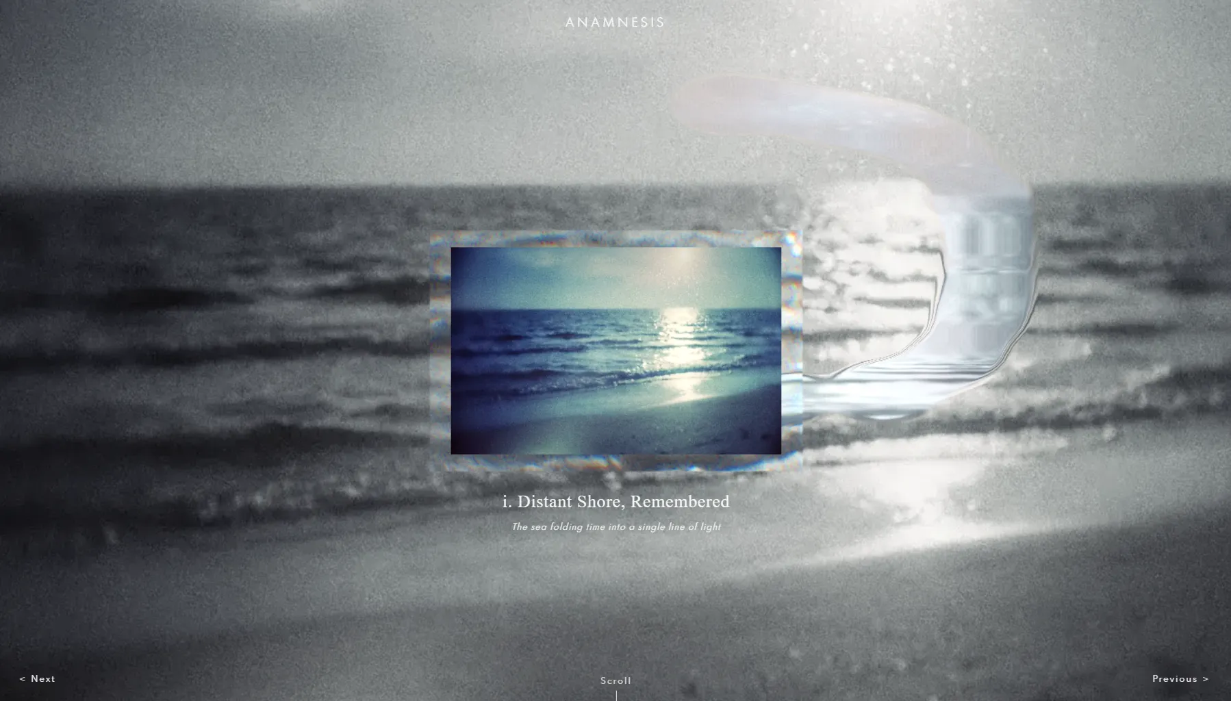 Anamnesis - Website experiment