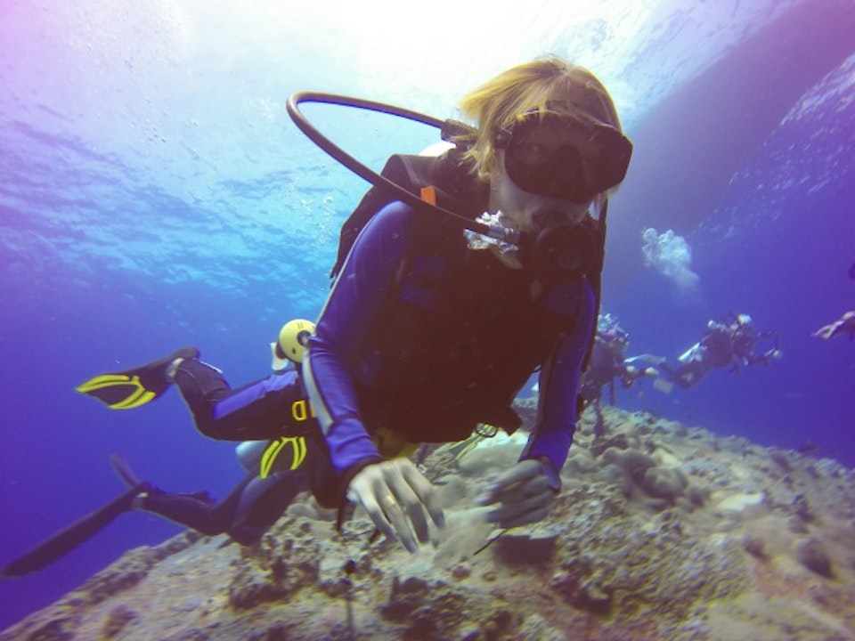 水中でも呼吸が出来る 驚きの研究結果を紹介 ニュース Discovery Japan ディスカバリージャパン ディスカバリーチャンネル