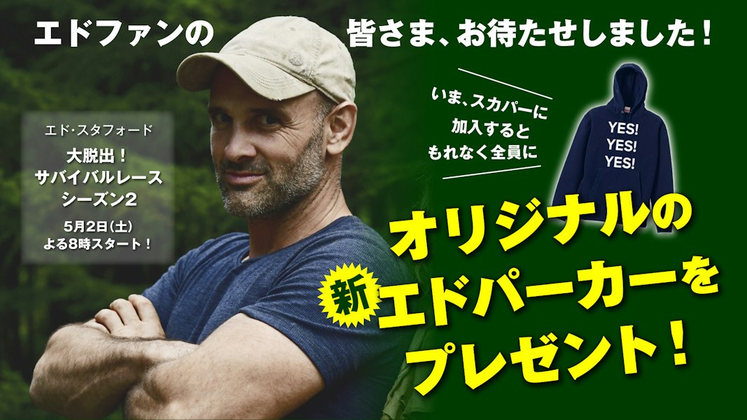 非売品】エド祭り限定パーカー、グレーLサイズ【ディスカバリー 