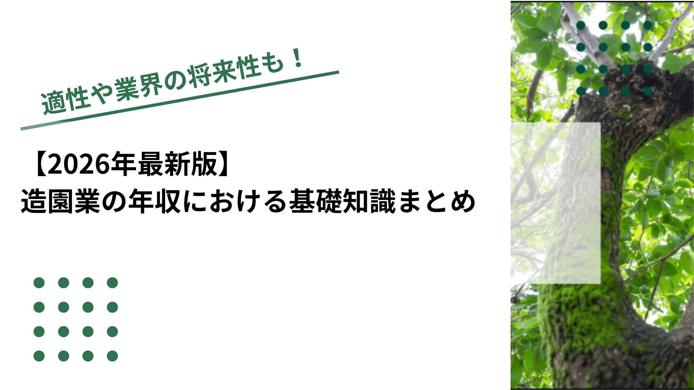【2026年最新版】造園業の年収における基礎知識まとめのイメージ写真