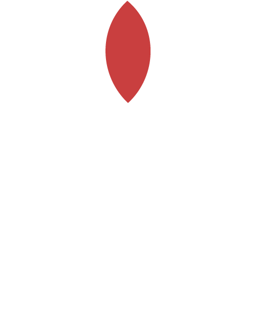 RiseJapan