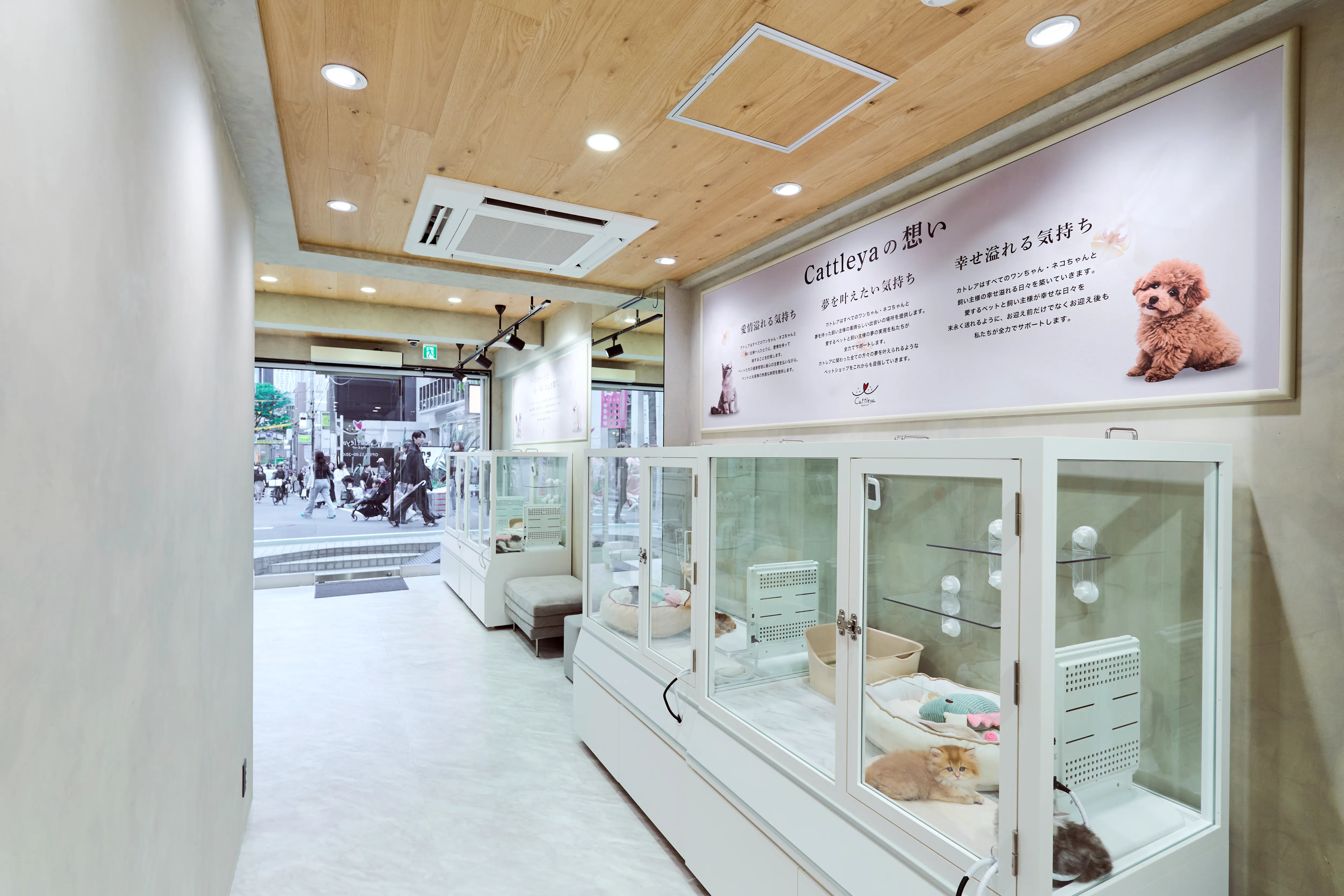 表参道店の写真3