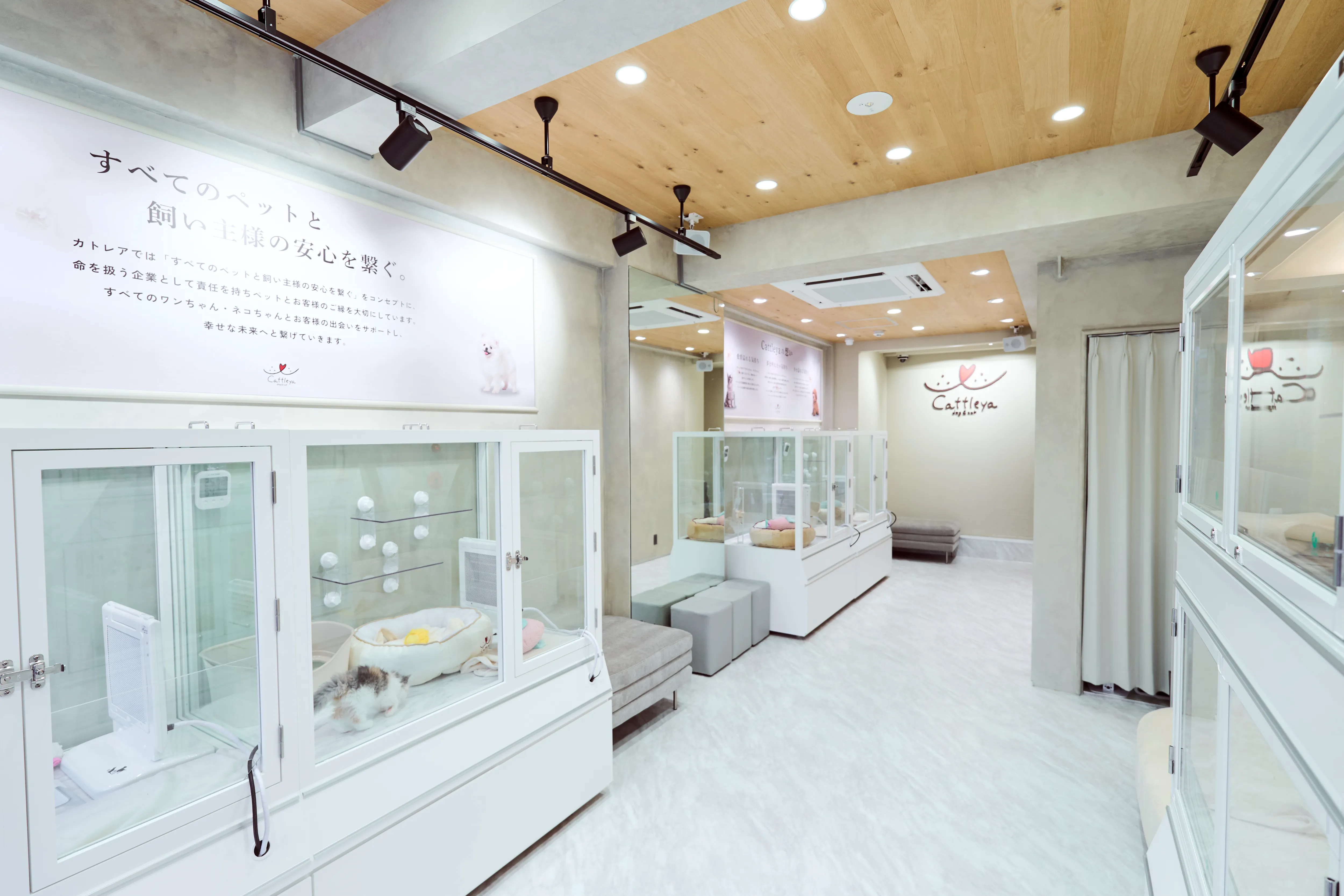 表参道店の写真2