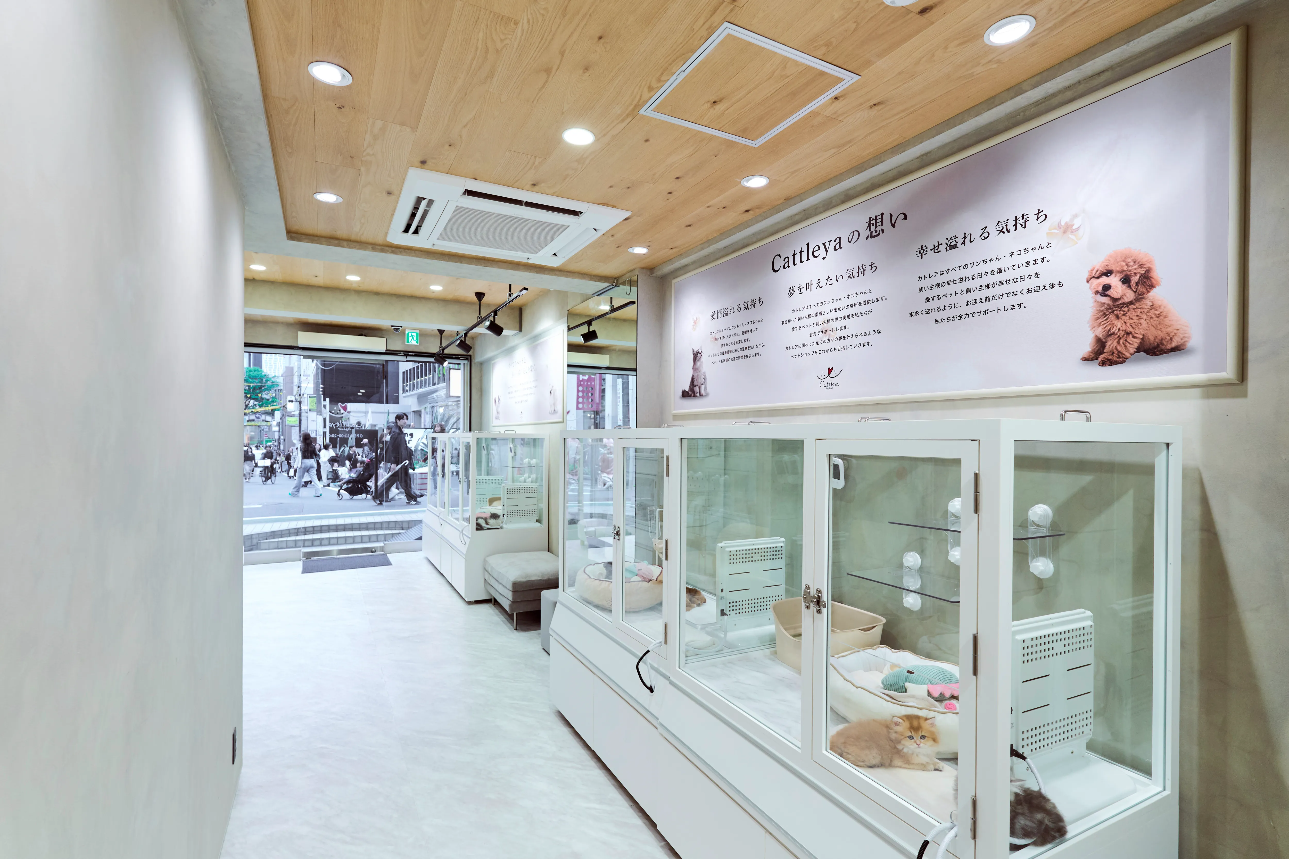 表参道店の写真3