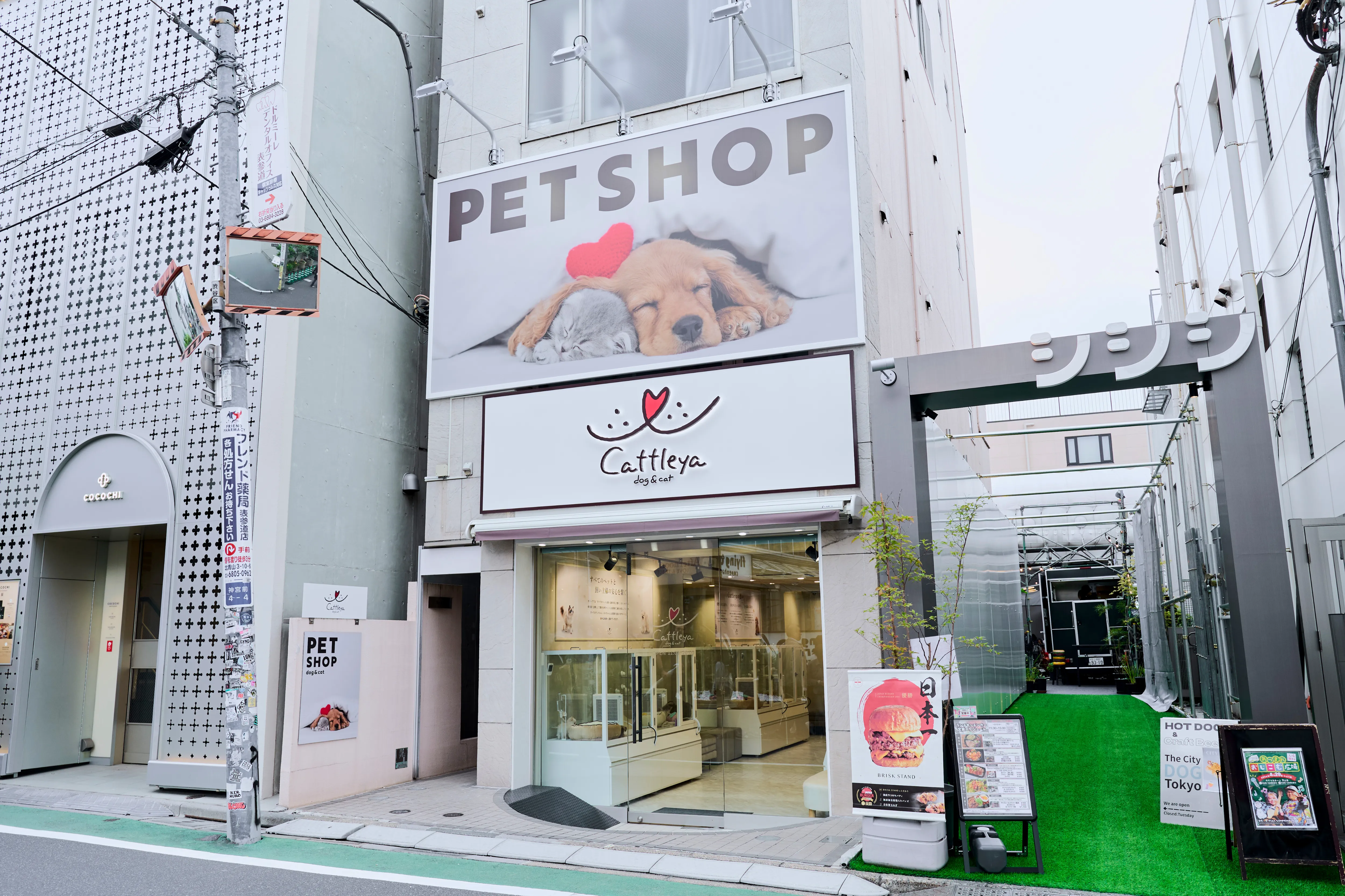 表参道店の写真1