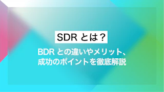 SDRとは？ BDRとの違いやメリット、成功のポイントを徹底解説