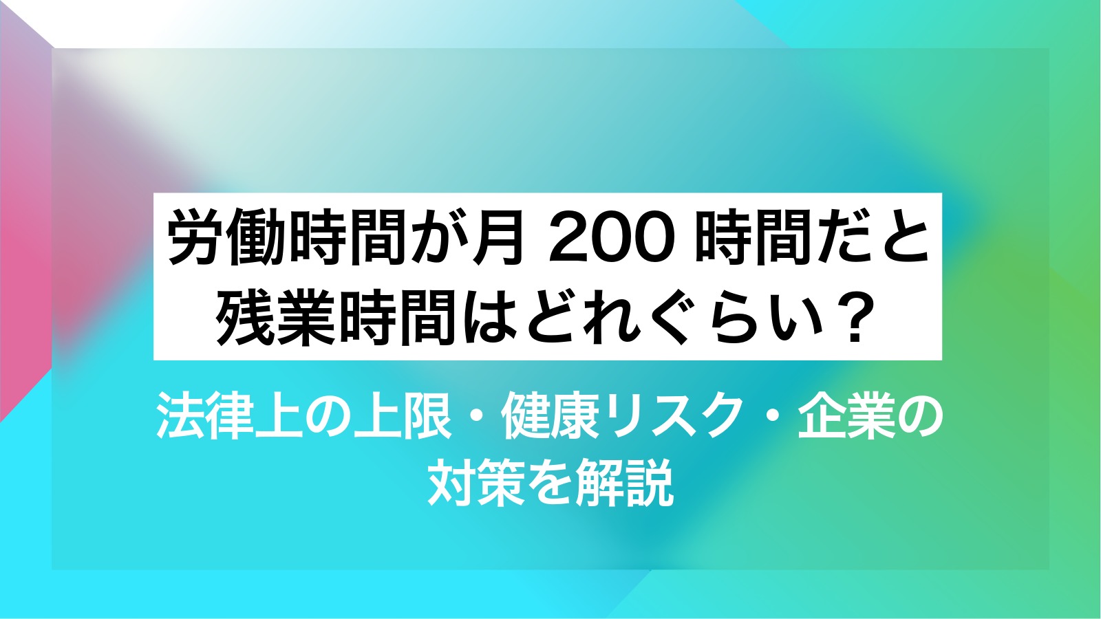 活動歴および当時の関連ビジュアル記録