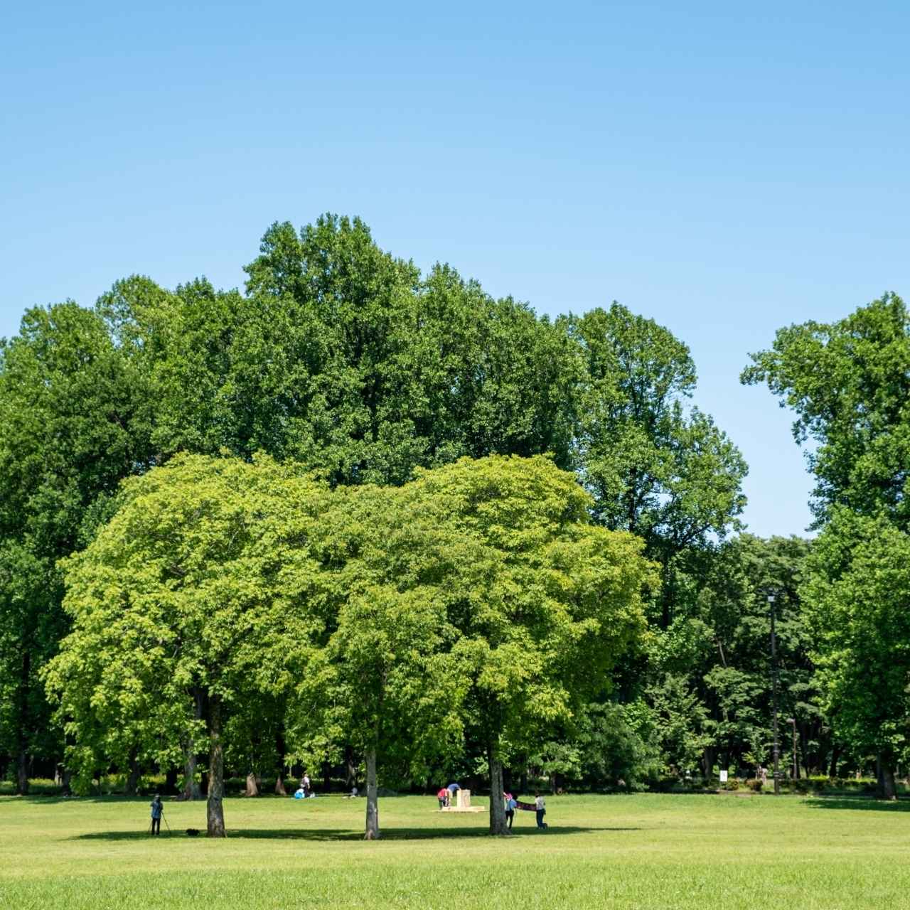 花と緑と歴史の公園