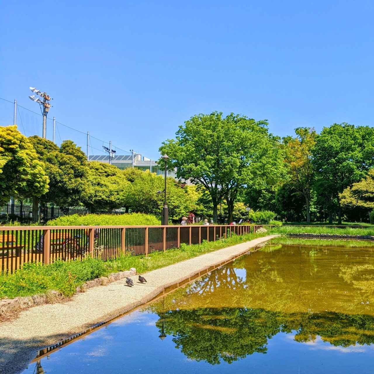 隅田川テラスに続く、防災と憩いが調和する水辺の砦
