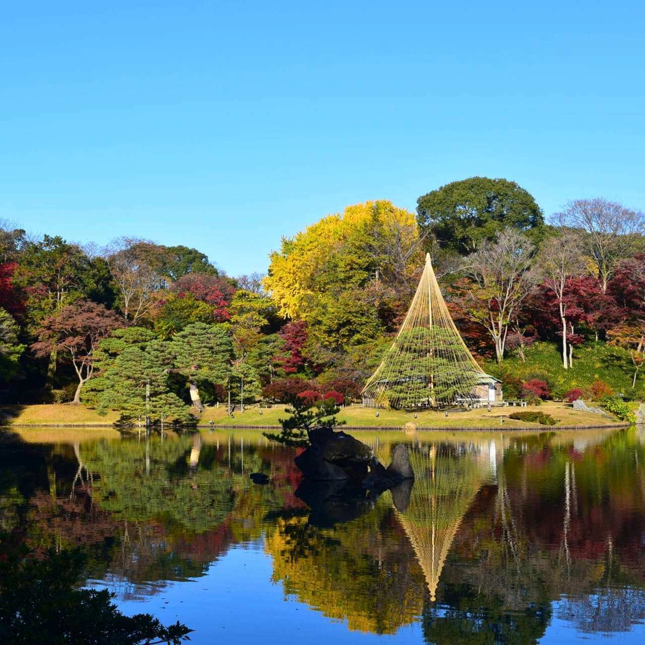 庭園中心部への道中に現れる、まるで滝のような〇〇〇桜?