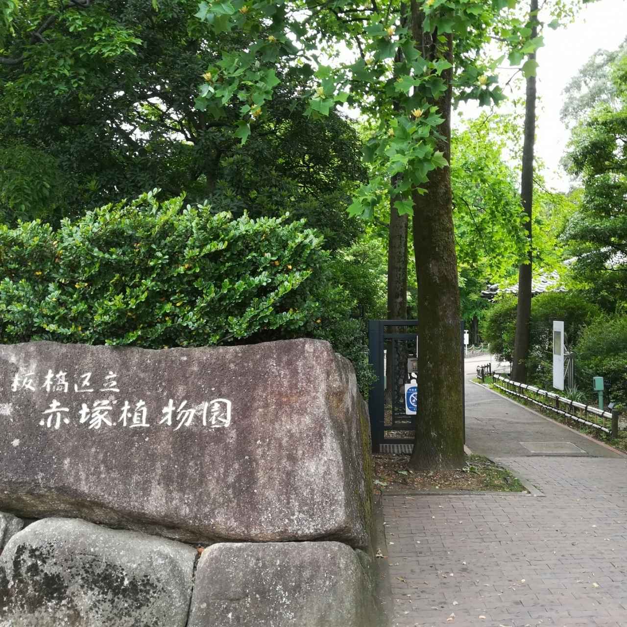 万葉の昔から現代まで、植物と人の絆を紡ぐ学びの庭を歩こう