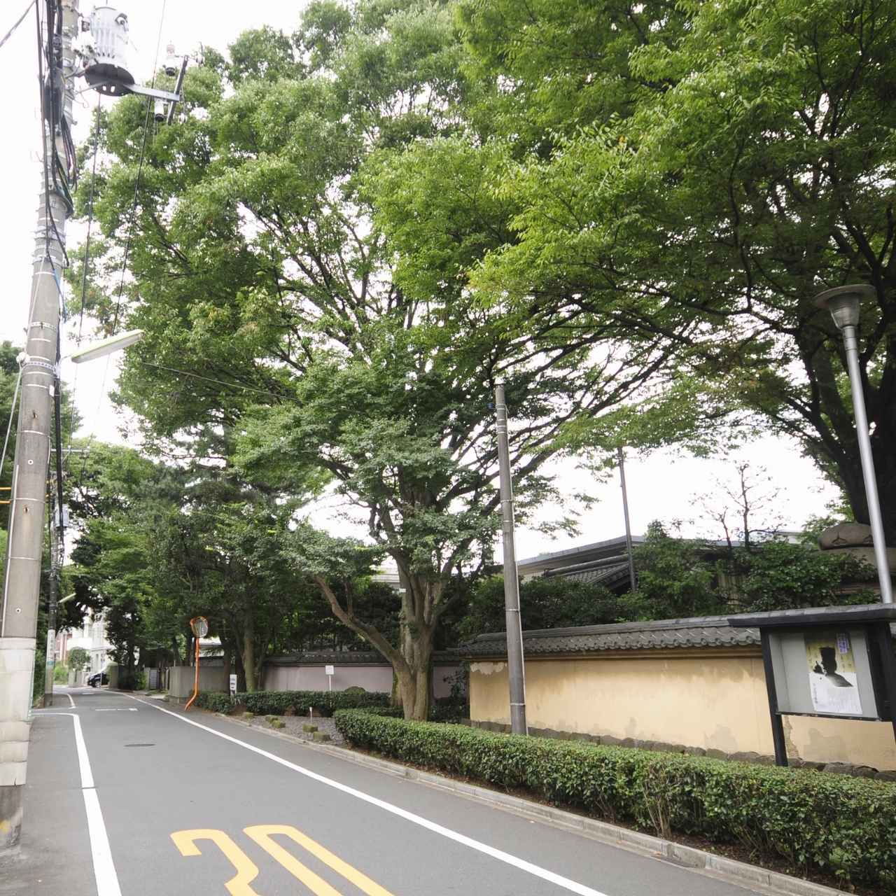 上野毛の文化オアシス、古美術と庭園の調和