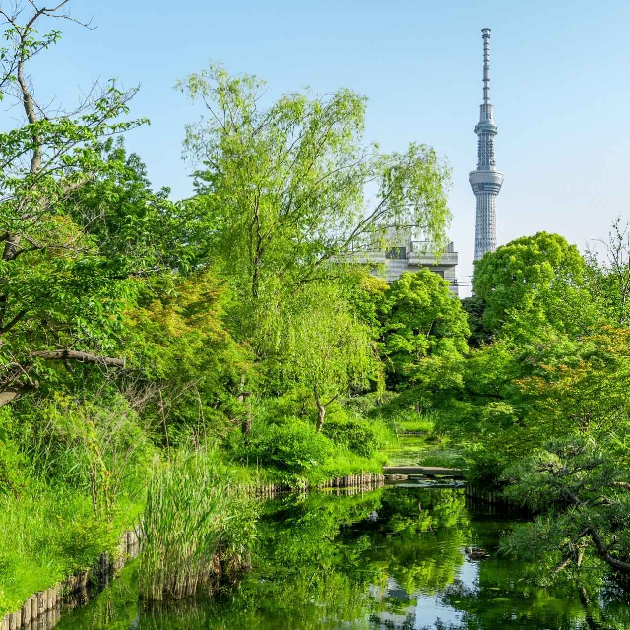 四季の草花が楽しめる江戸の花園
