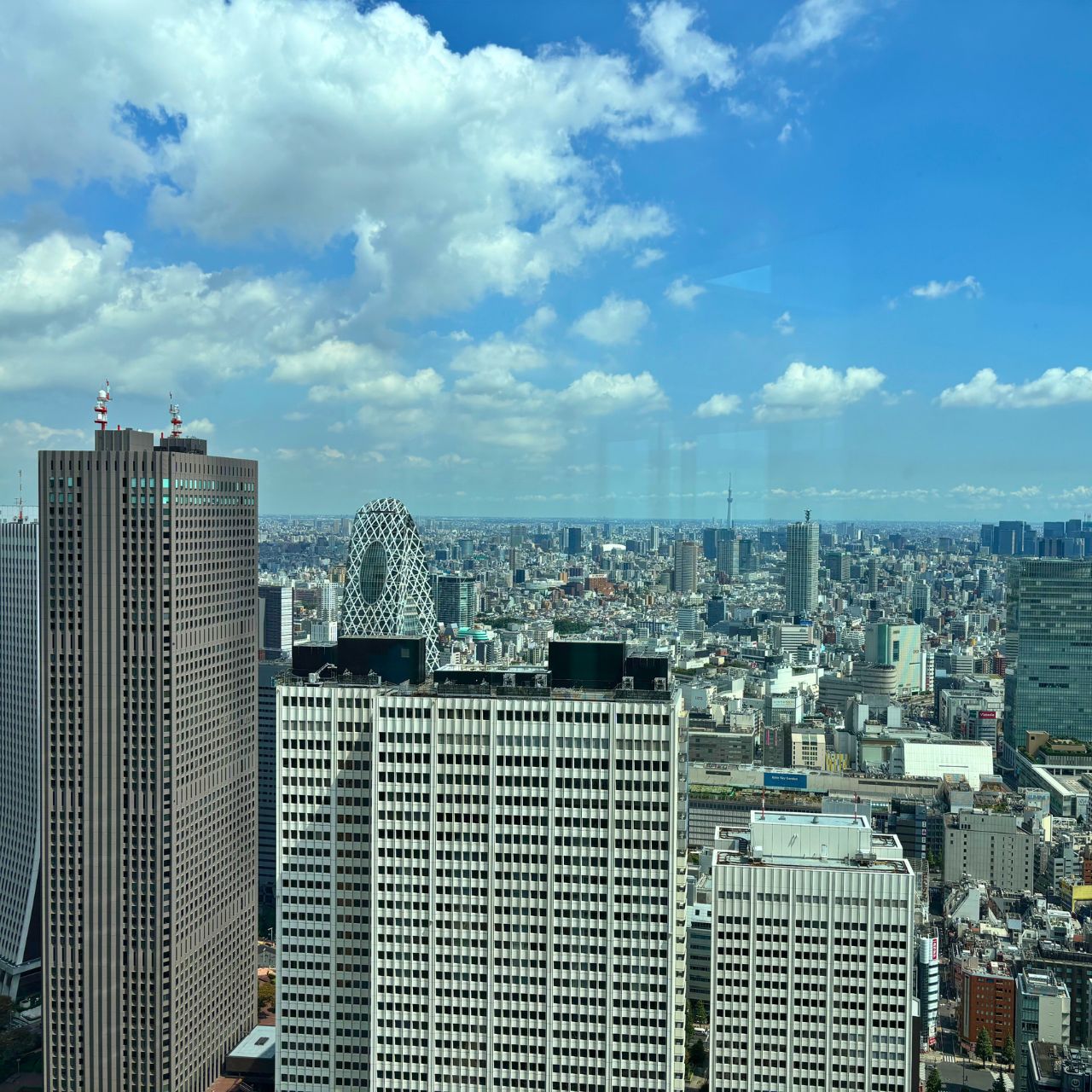 完全無料の絶景スポットから、東京を一望しよう！