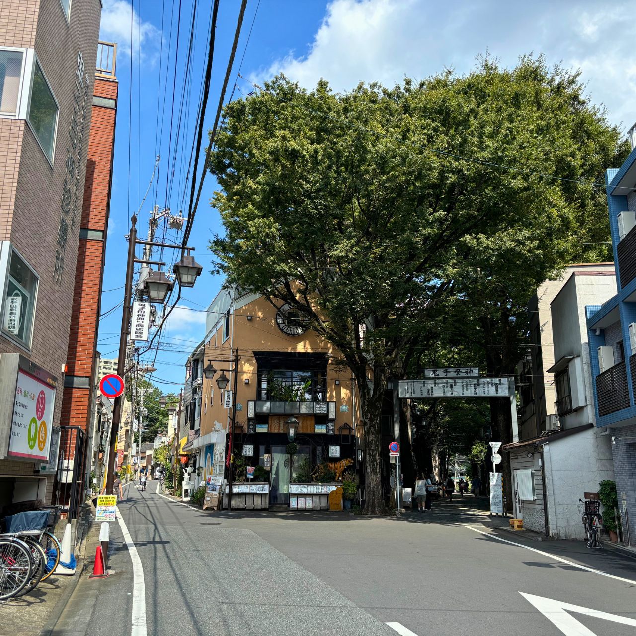 樹齢400年を超える巨木に会いに行こう!