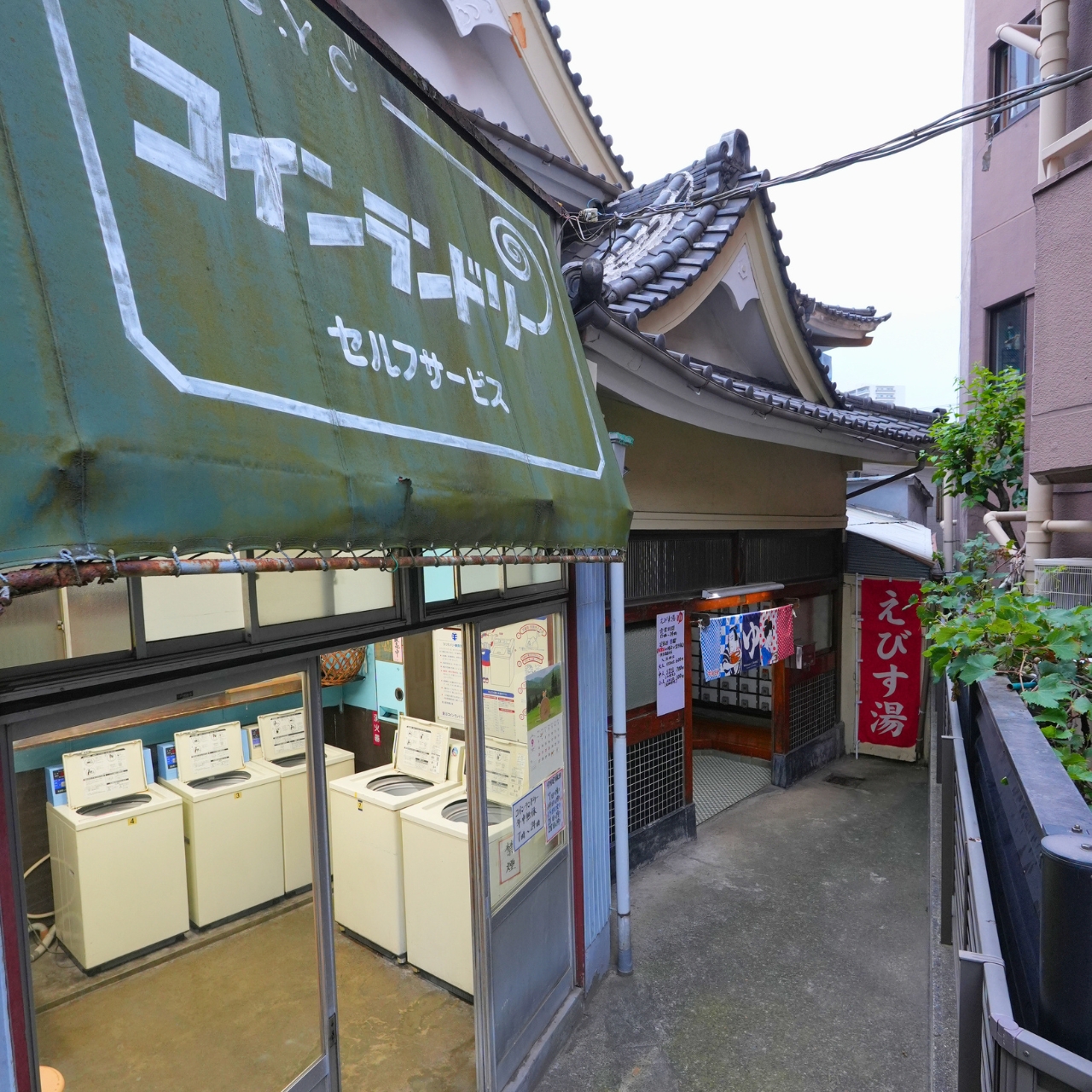 えびす湯で、湯上がりの一杯を撮ろう！