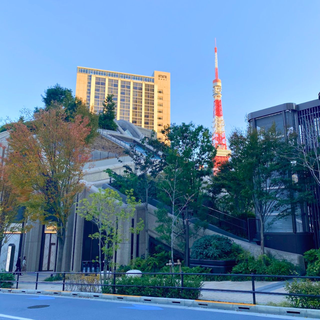 麻布台ヒルズの先に輝く東京タワーを探そう