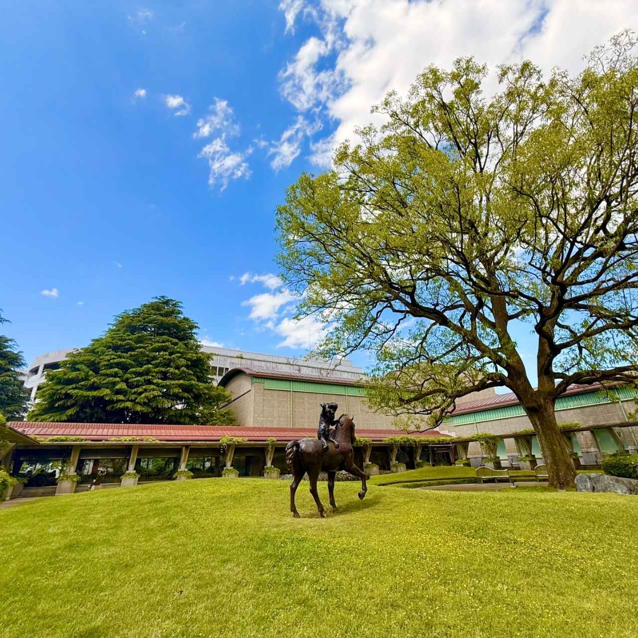砧公園の緑に包まれた、親しみやすい区立美術館