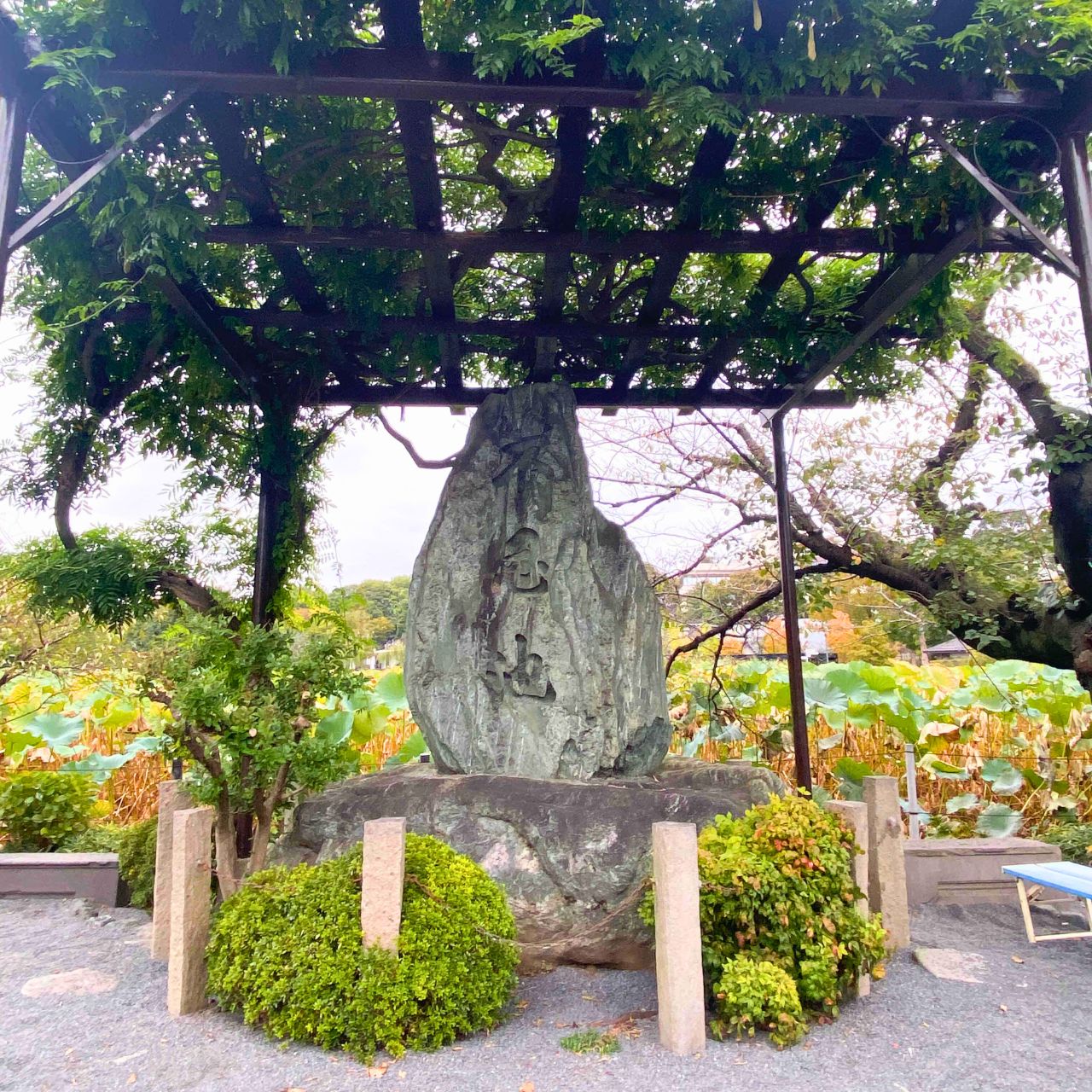 上野恩賜公園の不忍池に行って、石碑を見つけてきて!