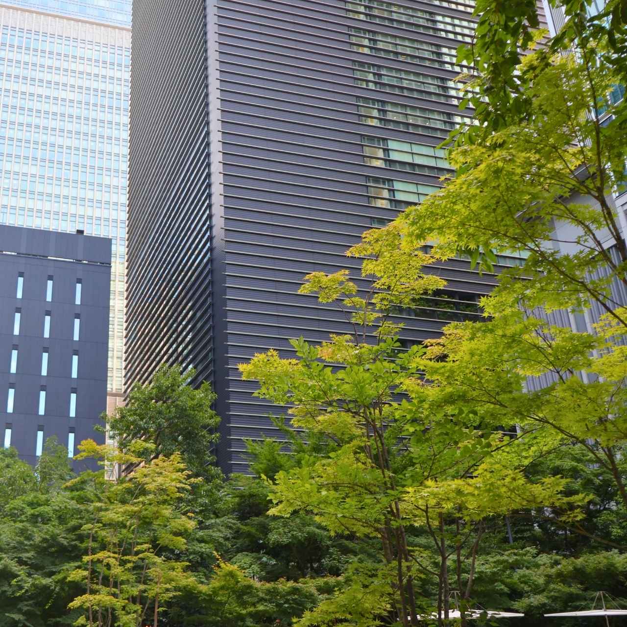 コレド室町裏手の秘密の森は◯◯◯アイランド対策としても評価されている?