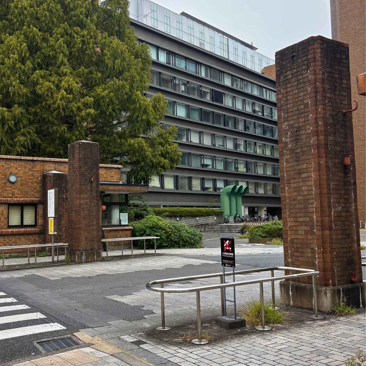 時を越え開かれ続ける、最高学府への入口