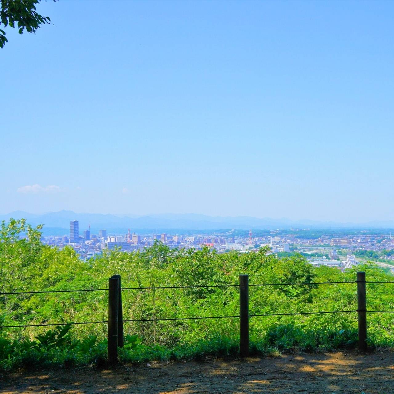 中藤の緑に包まれた、都市の憩いの場