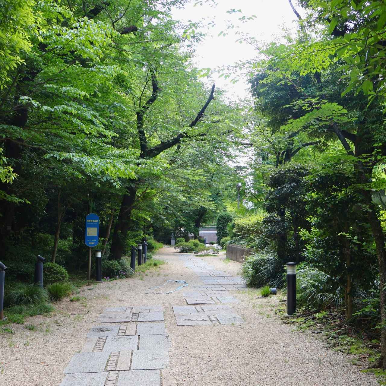 ガーデンにそびえる港区保護樹木にもなってる巨木は何の木?