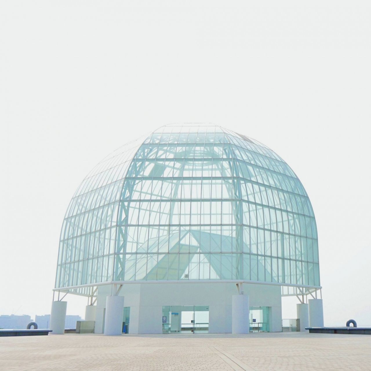 海の中をのぞいてみよう。東京で一番ワイルドな水族館