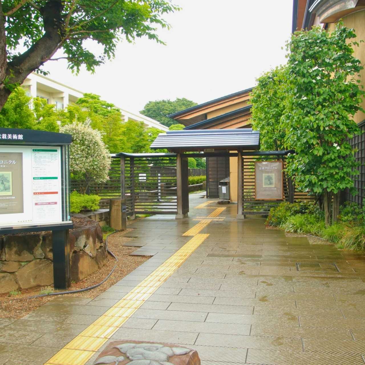 盆栽は、生きた彫刻だ。大宮で“時間”を見る。