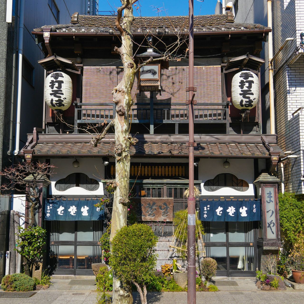 左右の松のシンボルの下にはそれぞれ、扉が!入り口はどっちか調査しよう!