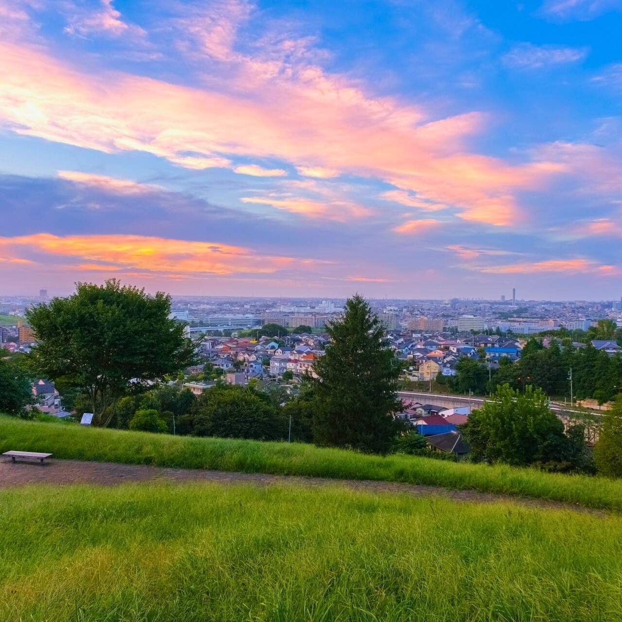 この丘で夕焼けを