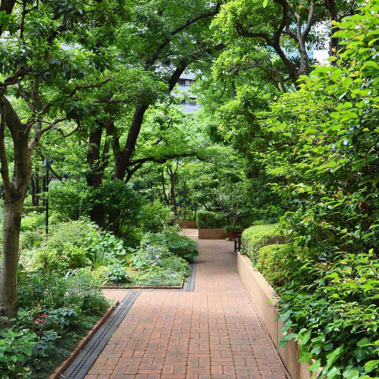 フォーシーズンズガーデンは、◯◯原産や◯◯古来の植物のみで構成されている?
