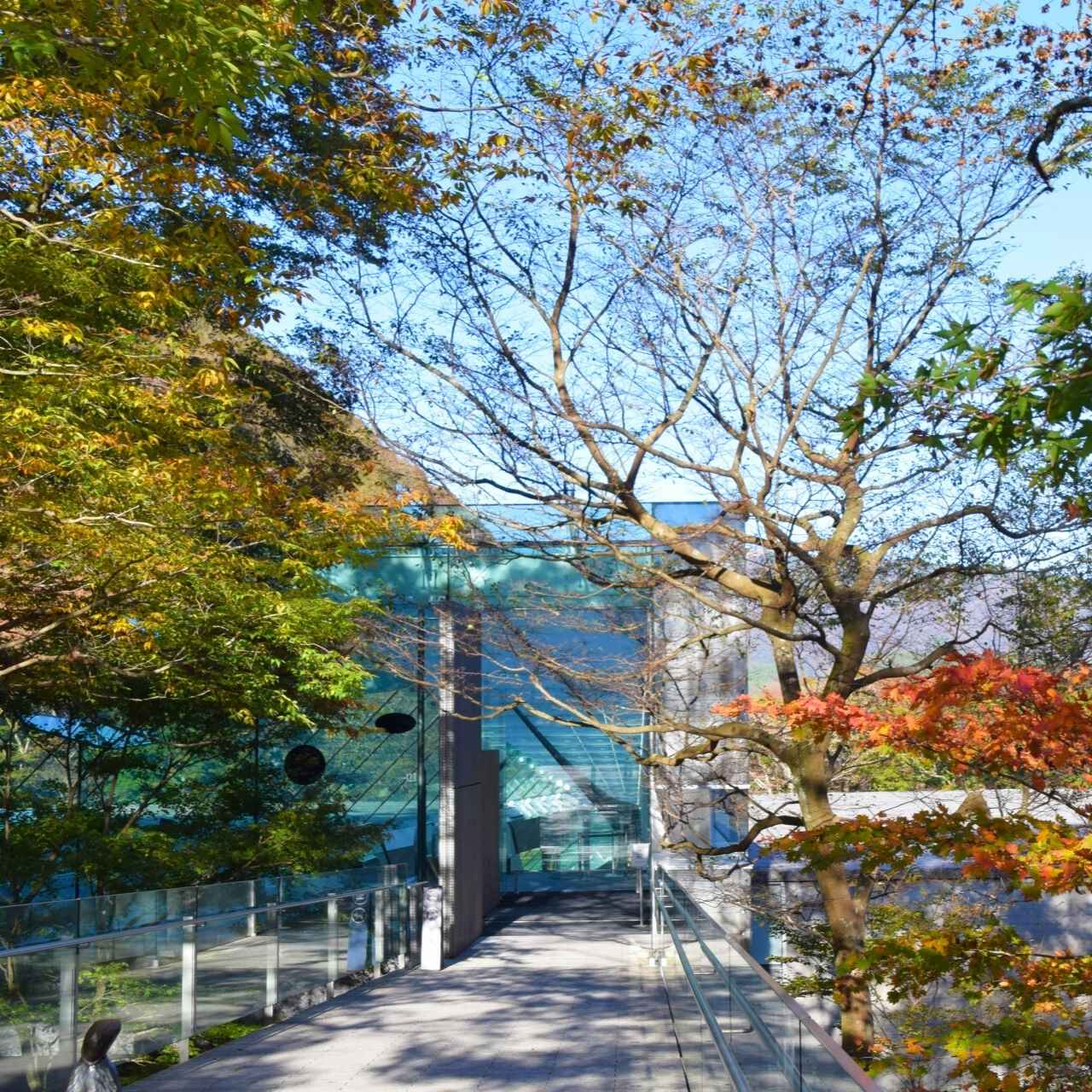 森に隠された、印象派の宝石箱。
