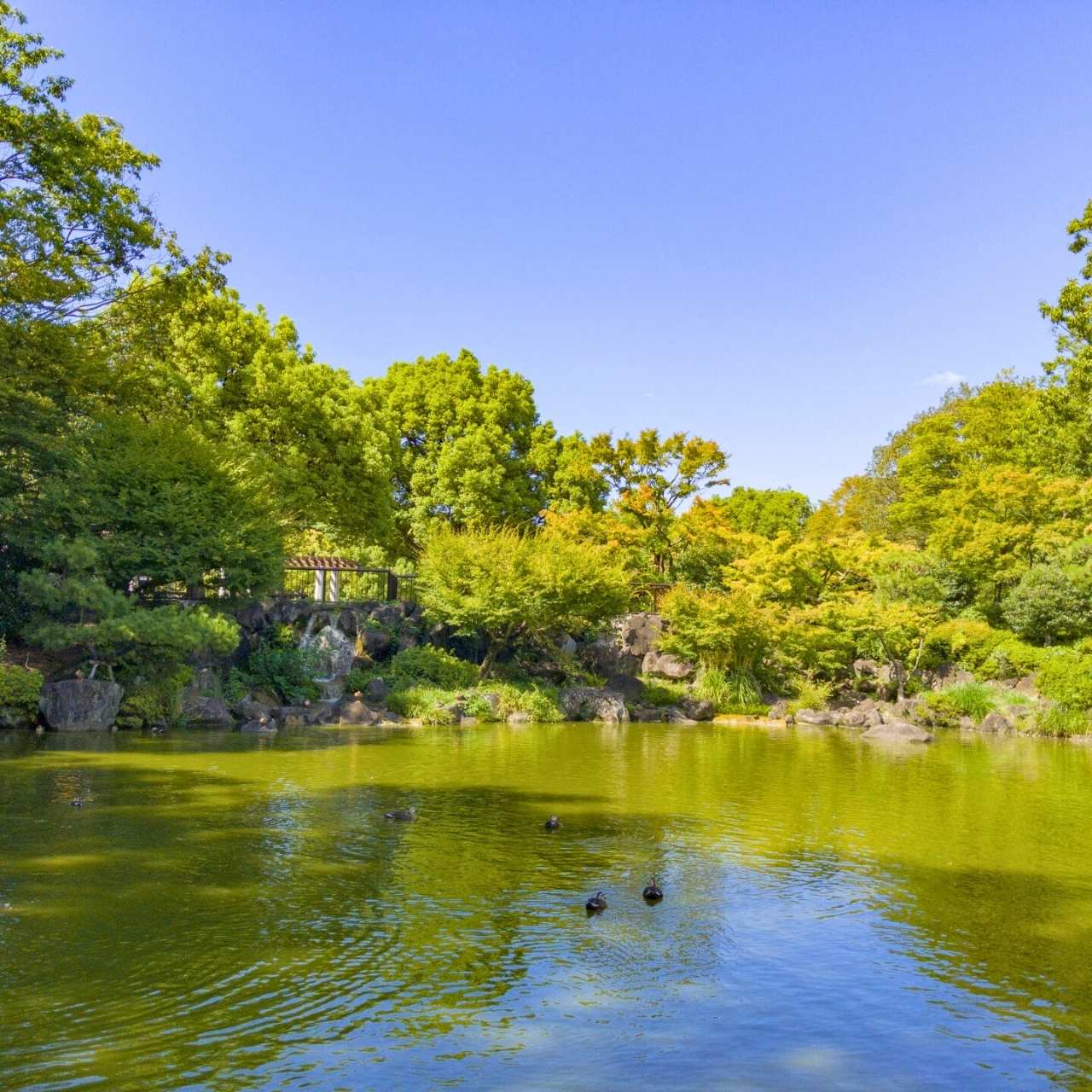 府中の森に響く、芸術と自然の調和