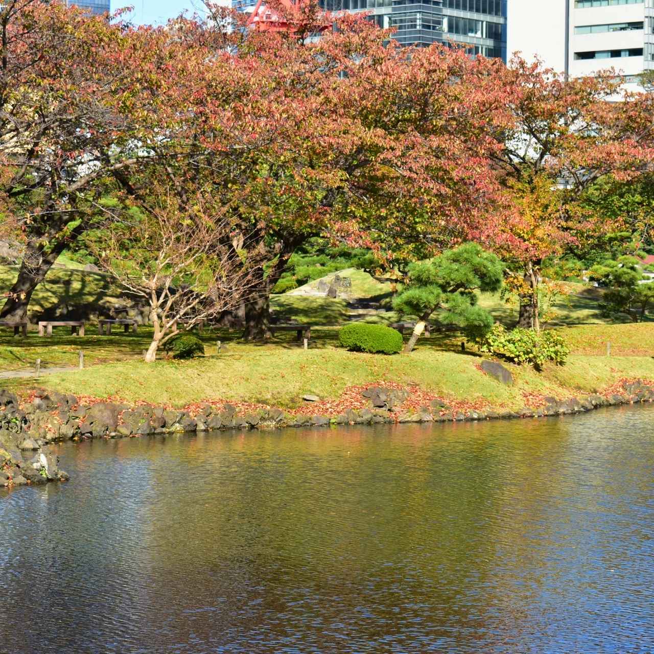 旧芝離宮ならでは。お花見MAPではなく、◯◯◯MAP?