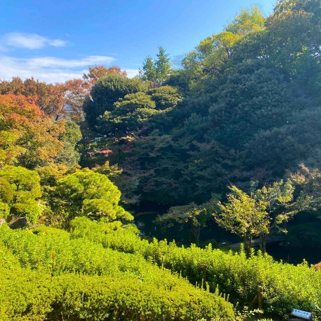 江戸時代の大名屋敷の面影を残す
