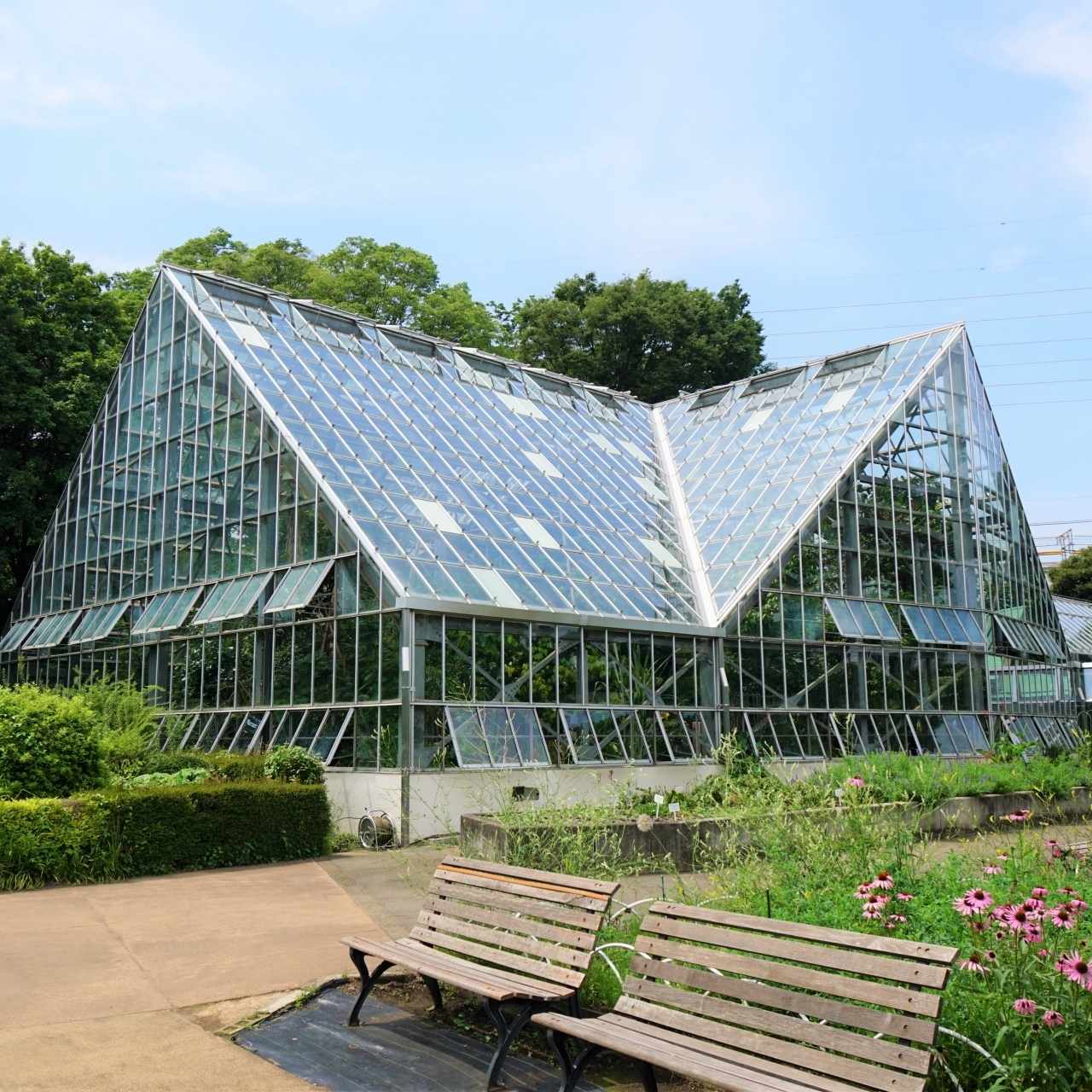都内で唯一ケシが見られる、薬用植物の知識と歴史を学ぶ特別な庭園