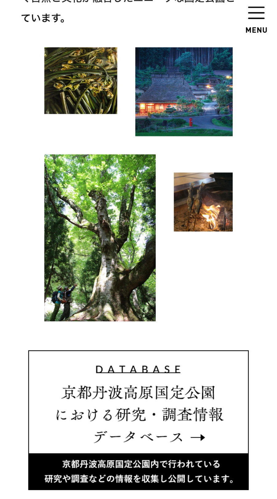 京都の森の案内所 - SP 3