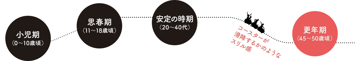 女性ホルモンをジェットコースターに例えると