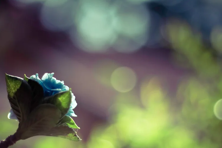 4668833794_919627ddd3_b