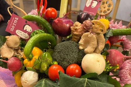 ローカルシティ新潟島<br />03｜疎遠になったプラスチックご飯