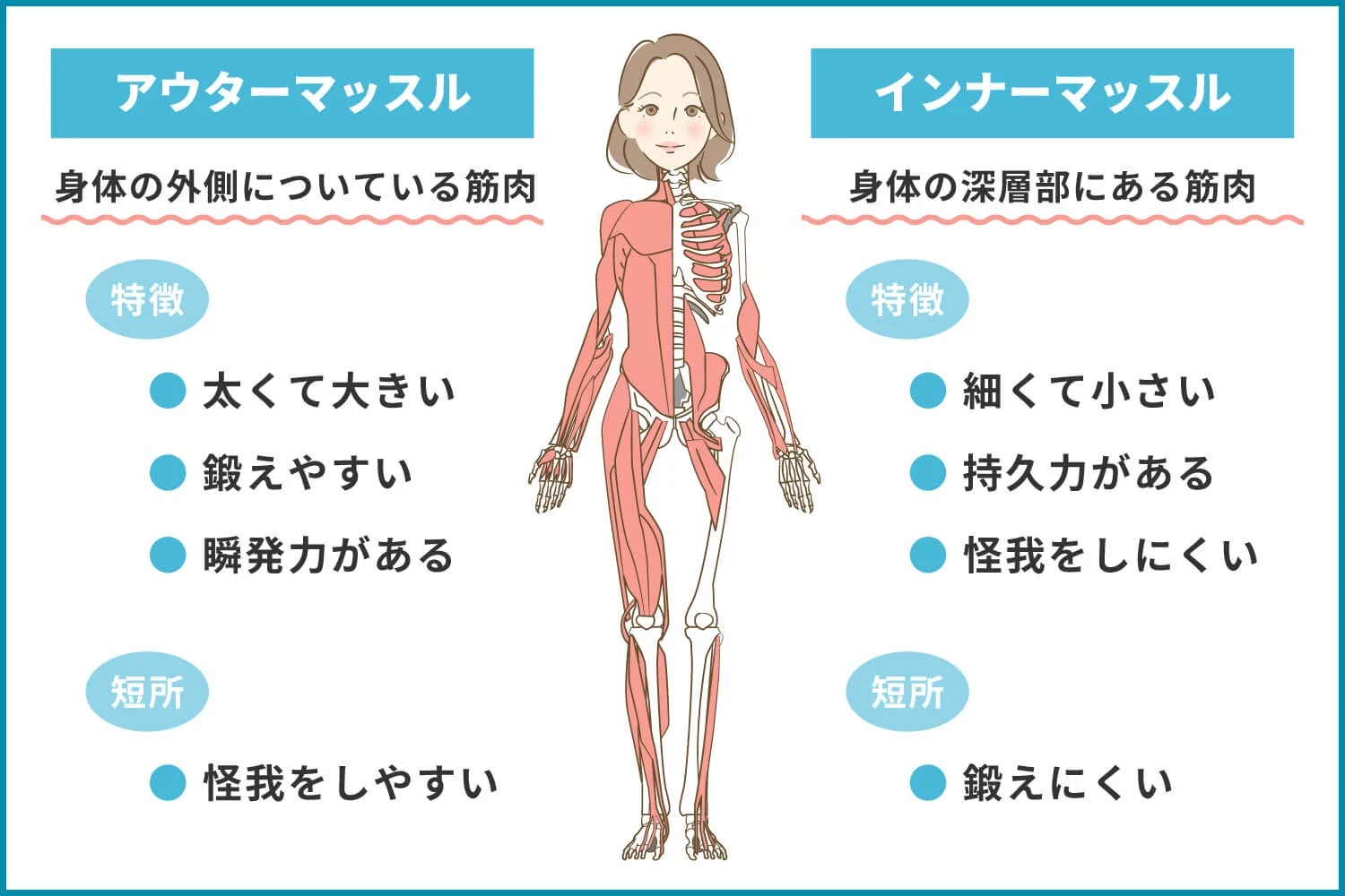 インナーマッスルとアウターマッスルの違い